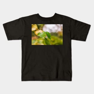 Early Autumn leaves Kids T-Shirt